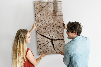 Magnetic board with marker Tree cross section