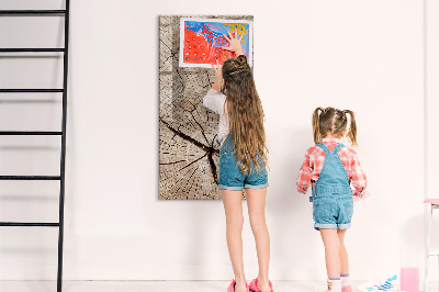 Magnetic board with marker Tree cross section