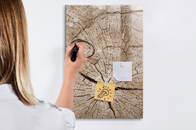 Magnetic board with marker Tree cross section