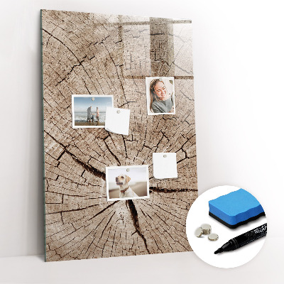 Magnetic board with marker Tree cross section