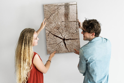 Magnetic board with marker Tree cross section