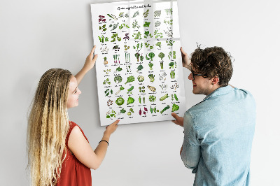 Dry erase magnetic board Flower Sketch