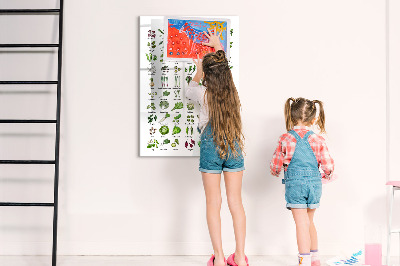 Dry erase magnetic board Flower Sketch