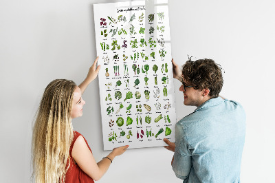 Dry erase magnetic board Flower Sketch