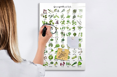 Dry erase magnetic board Flower Sketch