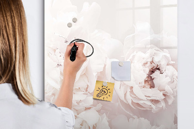Dry erase board magnetic Color Mixing