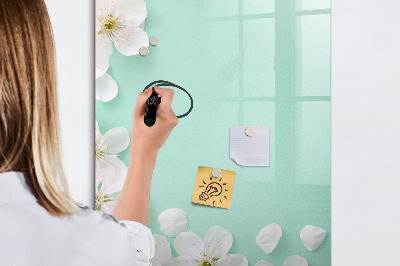 Dry erase board magnetic Wooden Panels