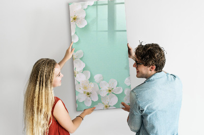 Dry erase board magnetic Wooden Panels