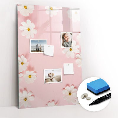 Dry erase board magnetic Stars