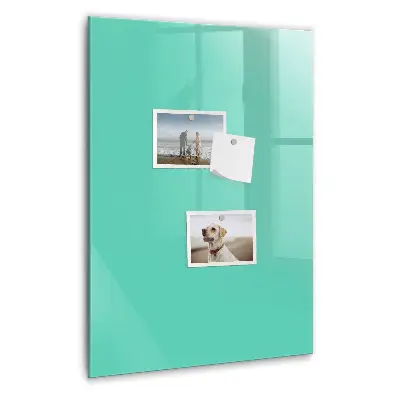 Turquoise magnetic wall board