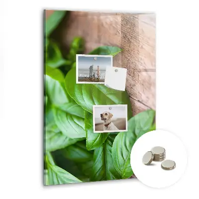 basil leaves design