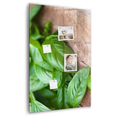 basil leaves design