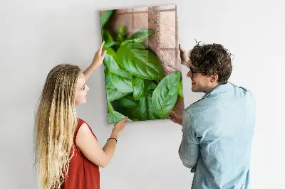 basil leaves design