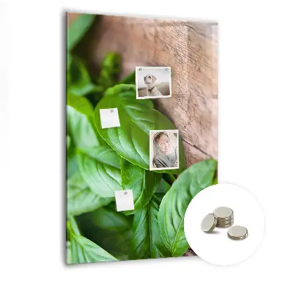 basil leaves design
