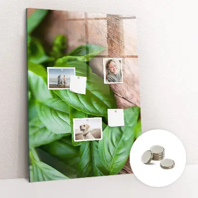 basil leaves design