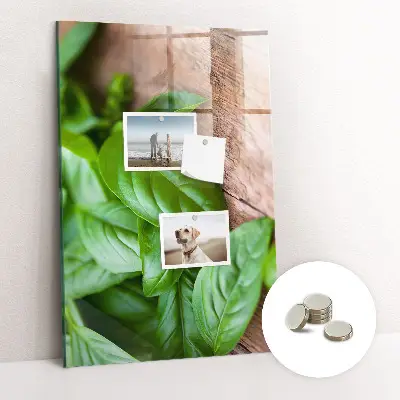 basil leaves design