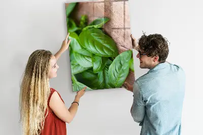 basil leaves design