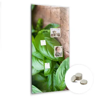 basil leaves design