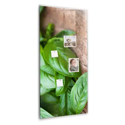 basil leaves design