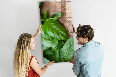 basil leaves design