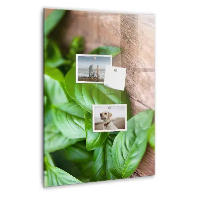 basil leaves design