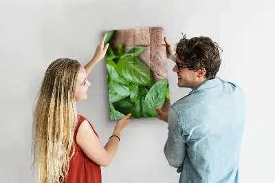 basil leaves design