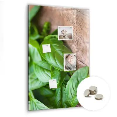 basil leaves design