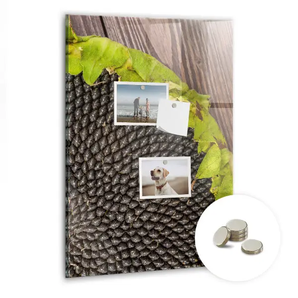 Magnetic glass dry erase board with sunflower seeds design