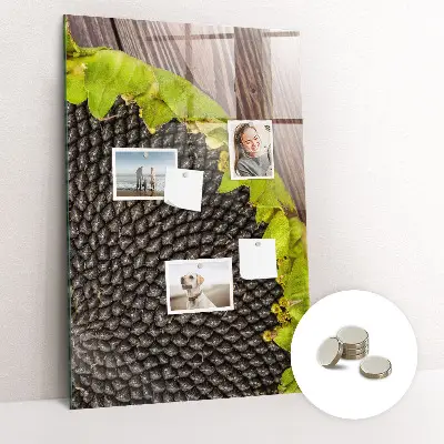 Magnetic glass dry erase board Sunflower seeds