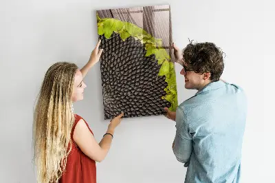 Magnetic glass dry erase board with sunflower seeds design