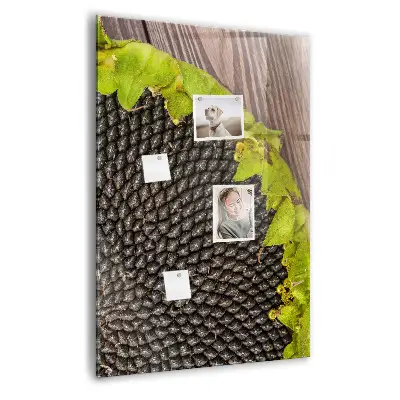 Magnetic glass dry erase board Sunflower seeds
