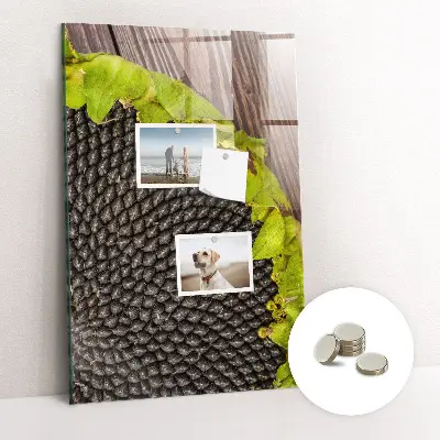 Magnetic glass dry erase board with sunflower seeds design