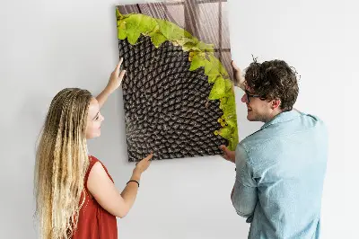 Magnetic glass dry erase board with sunflower seeds design