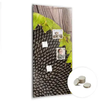 Magnetic glass dry erase board with sunflower seeds design