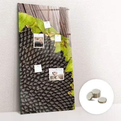 Magnetic glass dry erase board with sunflower seeds design