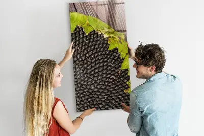 Magnetic glass dry erase board with sunflower seeds design