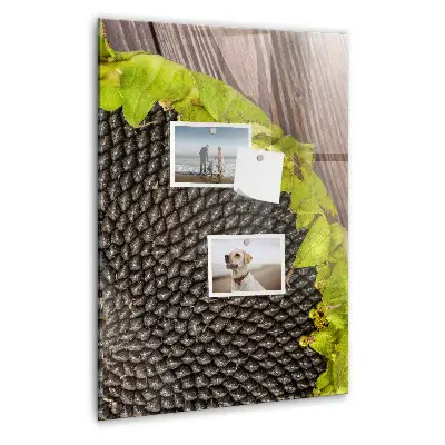 Magnetic glass dry erase board Sunflower seeds