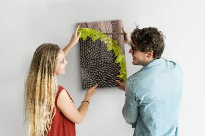Magnetic glass dry erase board with sunflower seeds design