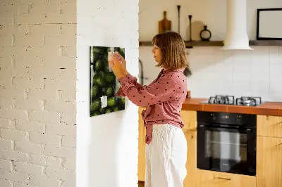 Magnetic wall board with fresh avocado print