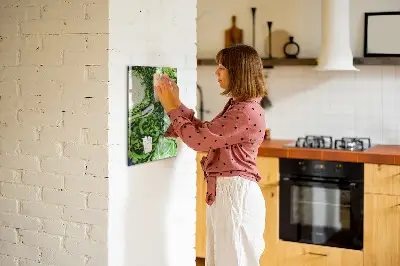 Magnet board Juicy lettuce
