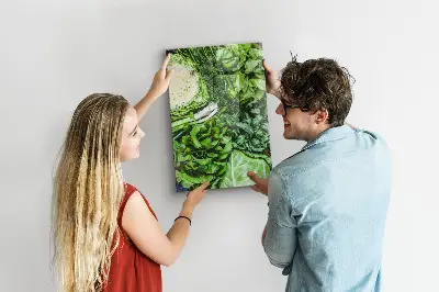 Magnet board Juicy lettuce