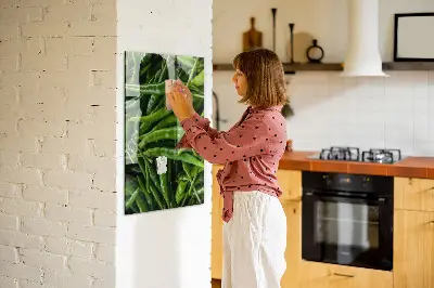 Magnetic wall board with green peppers design