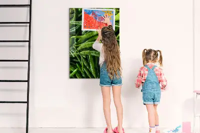 Magnetic wall board with green peppers design