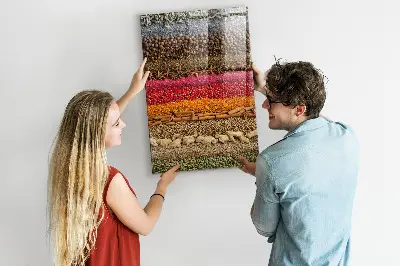Rows of Spices Magnetic Board