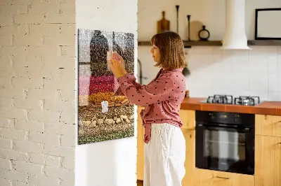 Magnet board Rows of spices