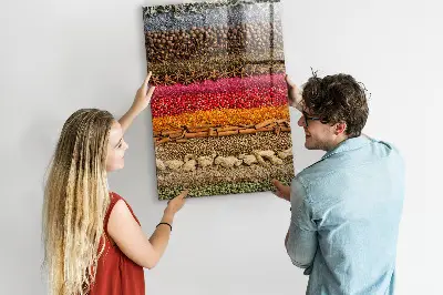 Magnet board Rows of spices