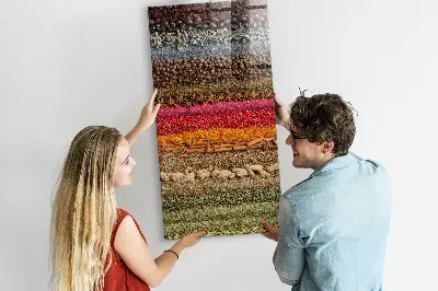 Magnet board Rows of spices