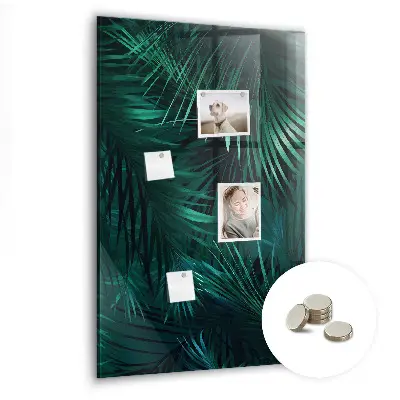 tropical leaves design