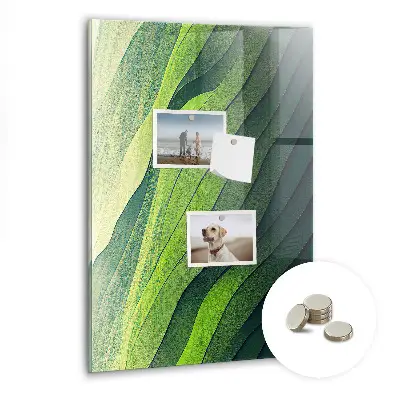 Magnet board Lines landscape nature