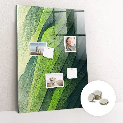 Landscape nature lines magnet board